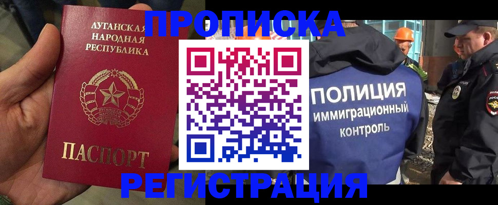 прописка поиск в Электрогорске